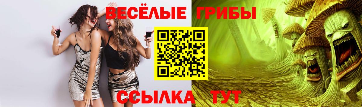 Галлюциногенные грибы Magic Shrooms  Галлюциногенные грибы Psilocybe  Вход с VPN  Переславль-Залесский 