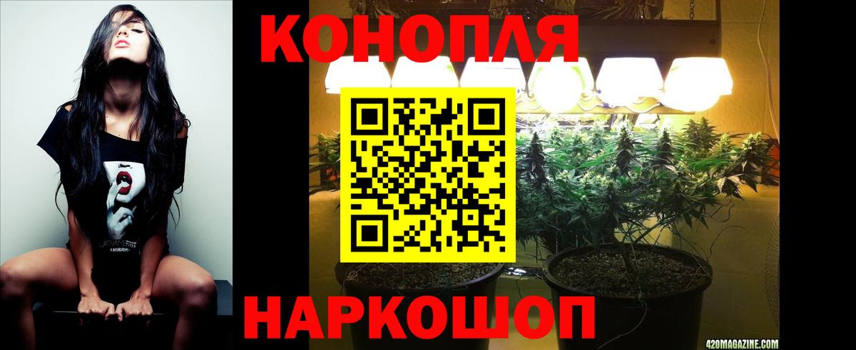 Шишки марихуана Bruce Banner  Шишки марихуана ГИДРОПОН  Переславль-Залесский  Вход с VPN 